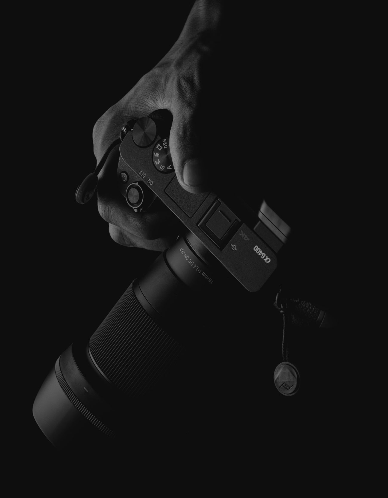 Portfolio divided ruger